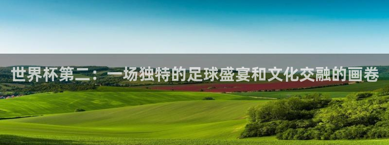 国际足联世界杯:世界杯第二:一场独特的足球盛宴和文化交融的画卷